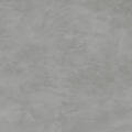Cement Ash