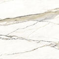 Gold Calacatta