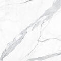 New Torano Statuario