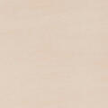 Basalt Beige