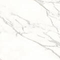 Calacatta C01