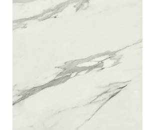 Ape Grupo Коллекция STATUARY VENATO Pol 120*120 см (P06)