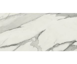 Ape Grupo Коллекция STATUARY VENATO Pol 60*120 см (J18)