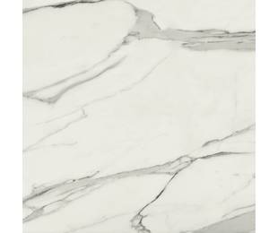 Ape Grupo Коллекция STATUARY VENATO Mat 120*120 см (N31)