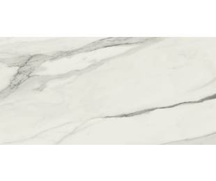 Ape Grupo Коллекция STATUARY VENATO Mat 60*120 см (R60)