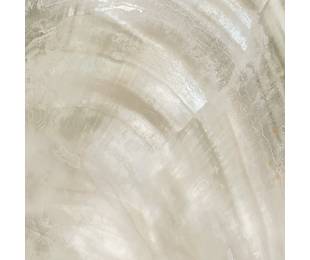 ROBERTO CAVALLI Bright Pearl Ivory 80*80 см
