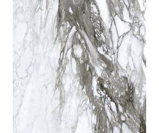 ROBERTO CAVALLI Lush Calacatta Renoir 59.4*59.4 см