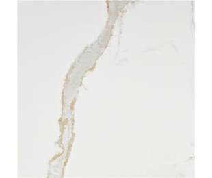 Vitacer Коллекция LEONARDO White Pol 120*120 см