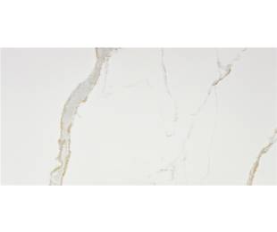Vitacer Коллекция LEONARDO White Pol 60*120 см