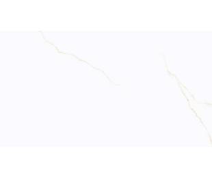 Vitacer Коллекция NARVIK Gold Pol 60*120 см