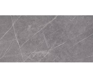 TAU Ceramica Коллекция ALTAMURA Gray Mat 60*120 см