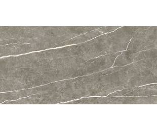 TAU Ceramica Коллекция ELITE Graphite Pul 60*120 см
