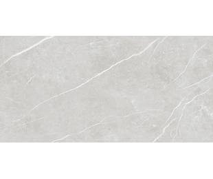 TAU Ceramica Коллекция ELITE Silver Pul 60*120 см