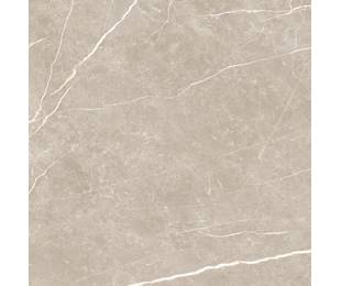 TAU Ceramica Коллекция ELITE Greige Mat 90*90 см