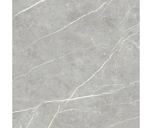 TAU Ceramica Коллекция ELITE Gray Pul 120*120 см