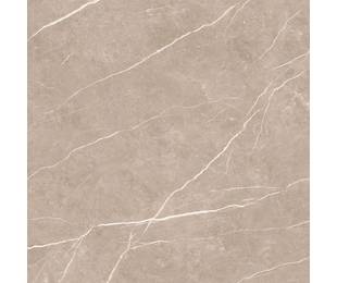 TAU Ceramica Коллекция ELITE Greige Pul 120*120 см