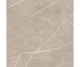 TAU Ceramica Коллекция ELITE Greige Mat 120*120 см