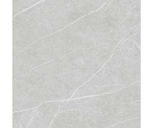 TAU Ceramica Коллекция ELITE Silver Mat 120*120 см