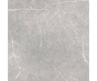 TAU Ceramica Коллекция SOAPSTONE Silver Mat 100*100 см
