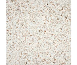 STN Ceramica Коллекция INDEED Confetti Warm Mat 60*60 см