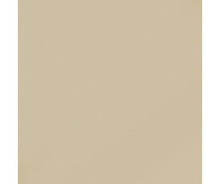 Коллекция MONOCOLOR  Моноколор CF 100 MR Аворио 60x60 см