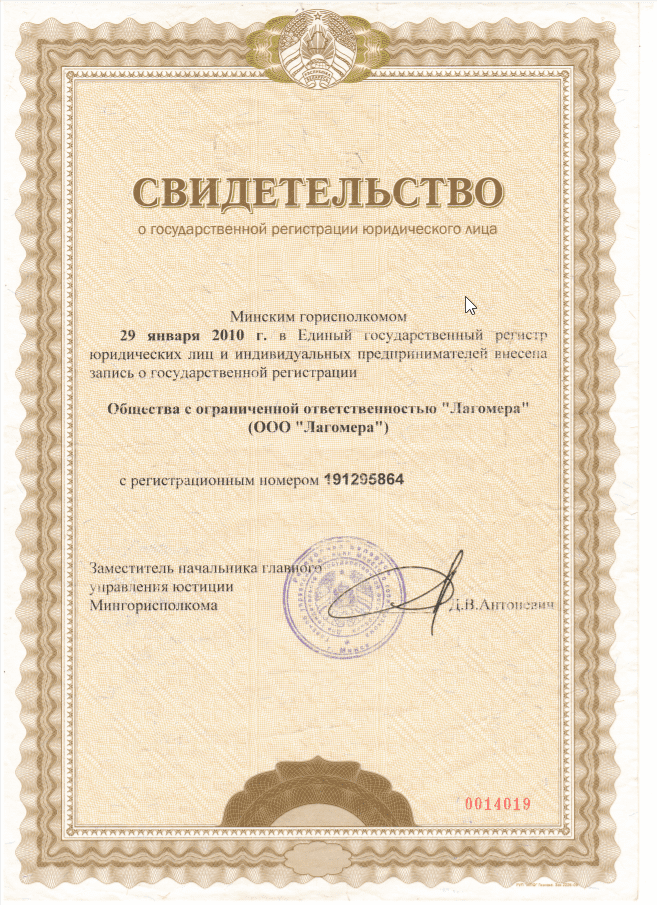 Свидетельство о гос регистрации